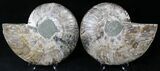 Cut/Polished Ammonite Pair - Agatized #21793-1